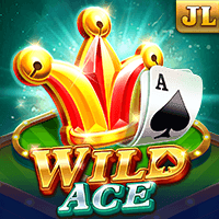 Wild Ace game cover